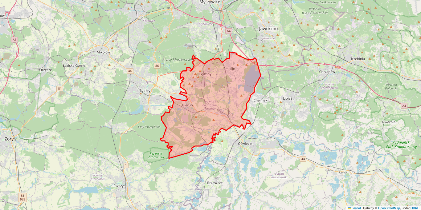Serwis RTV Bieruń