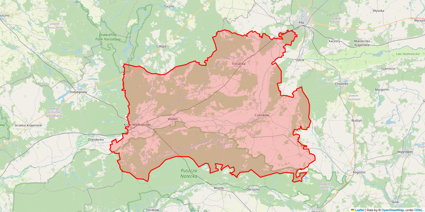 Serwis RTV Czarnków