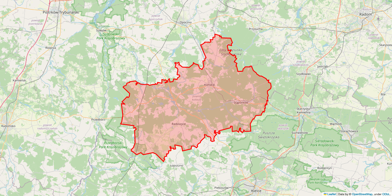 Naprawa Naprawa pralek Końskie