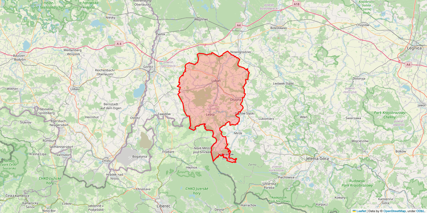 Elektryk Leśna