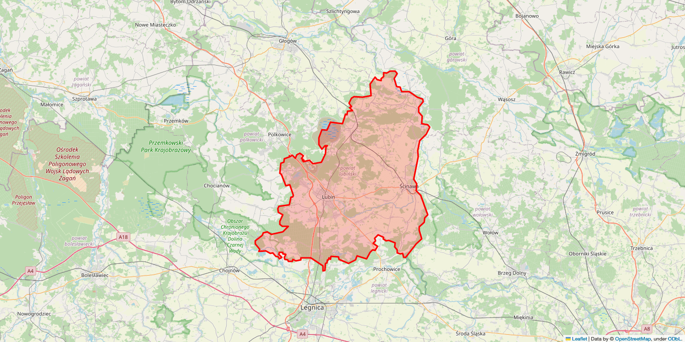 Serwis RTV Ścinawa