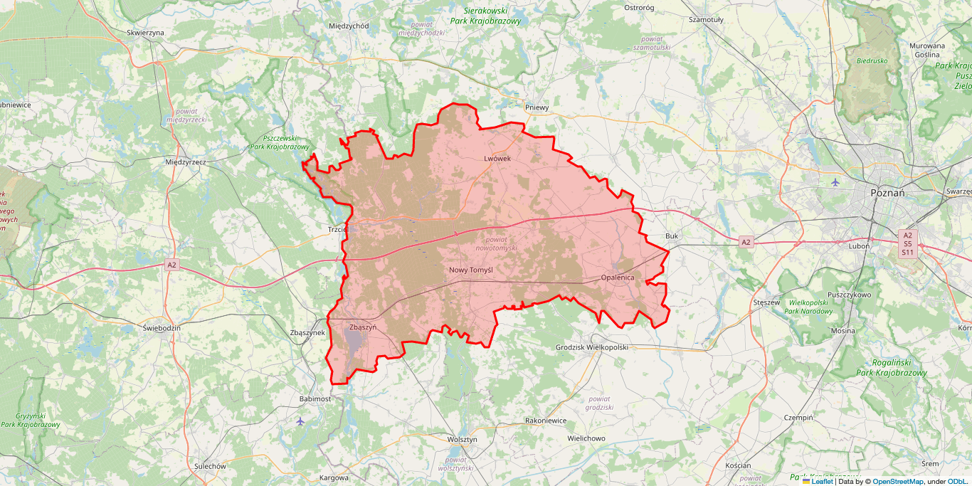 Elektryk Nowy Tomyśl