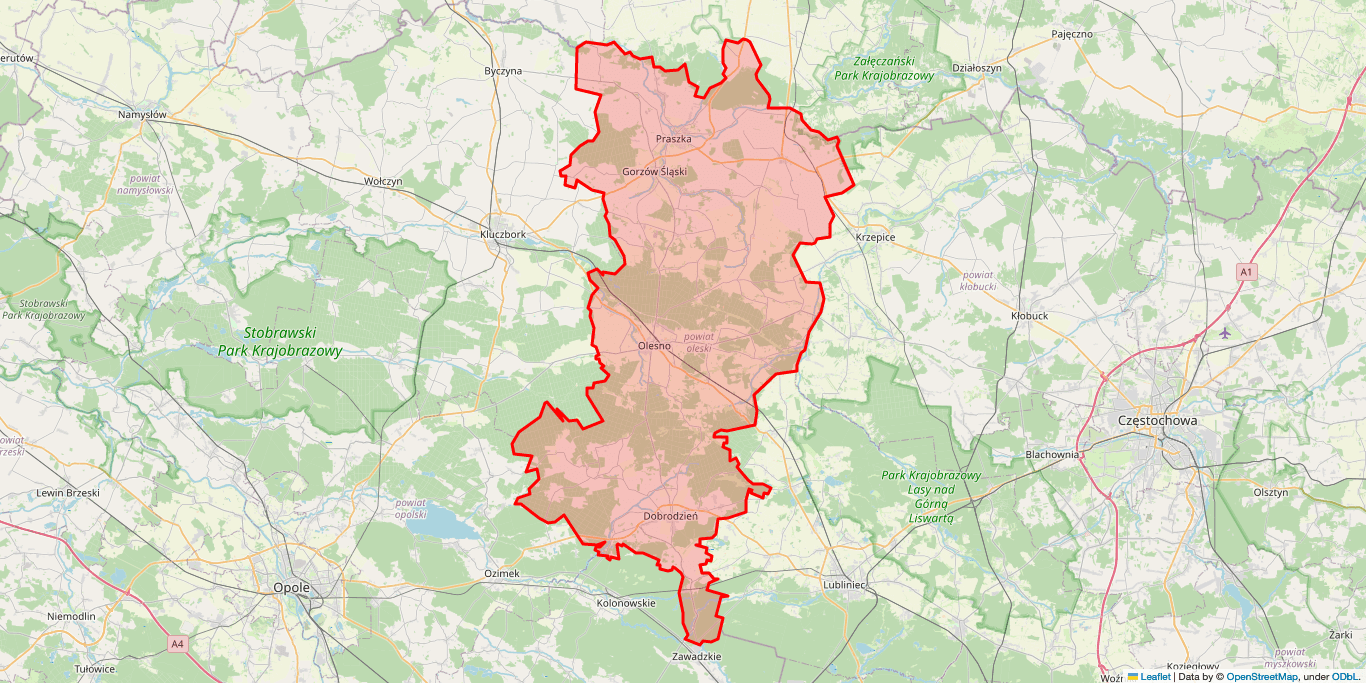 Elektryk Dobrodzień