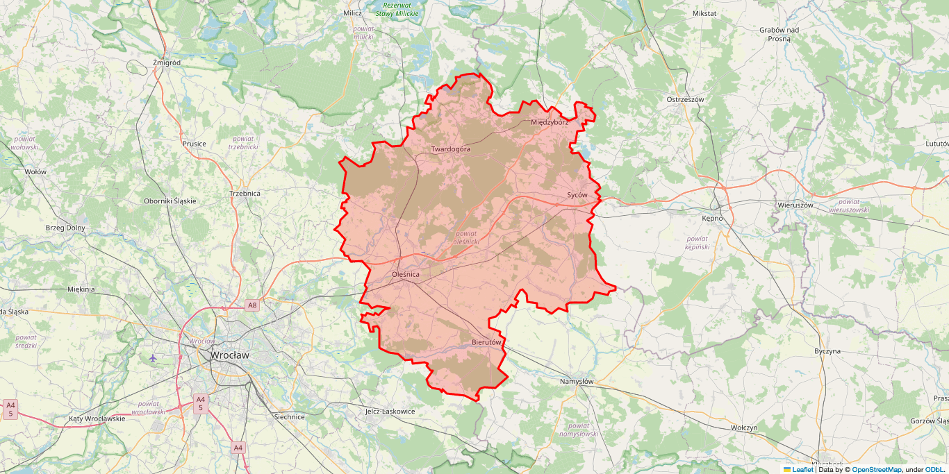 Elektryk Bierutów
