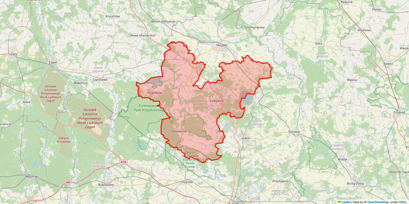 Naprawa Naprawa pralek Radwanice