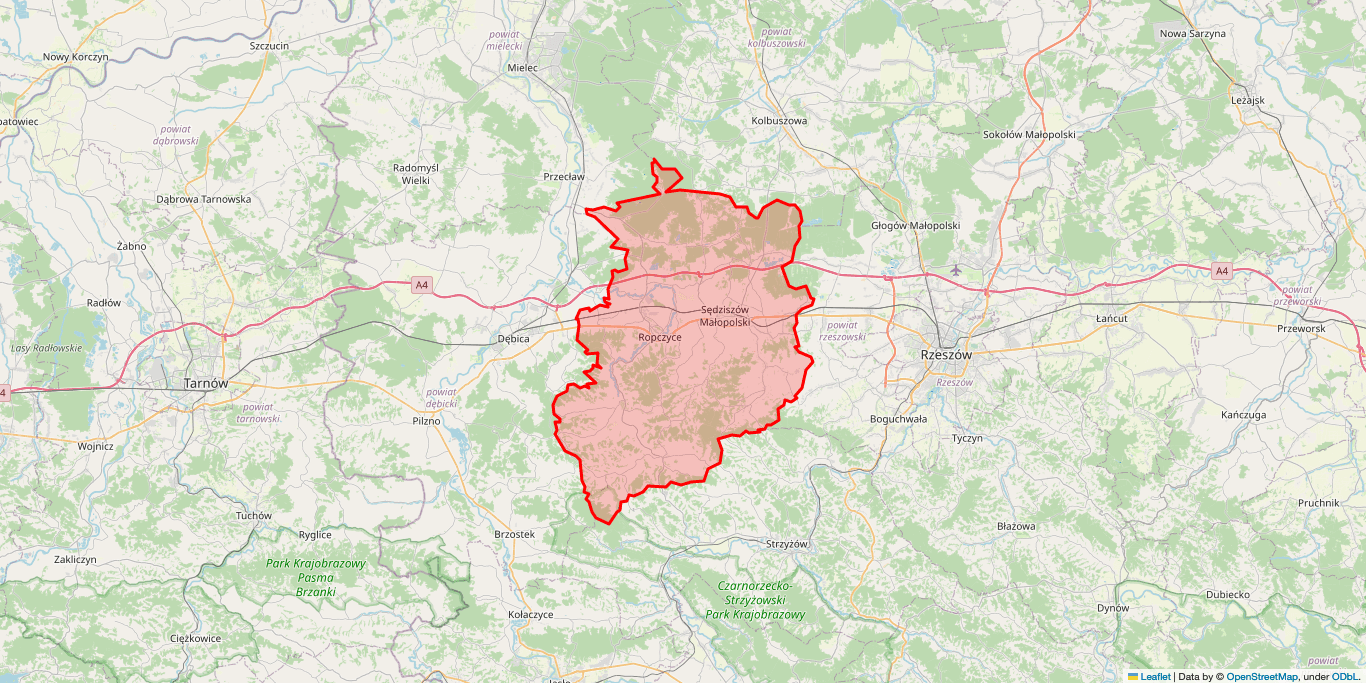 Elektryk Ropczyce