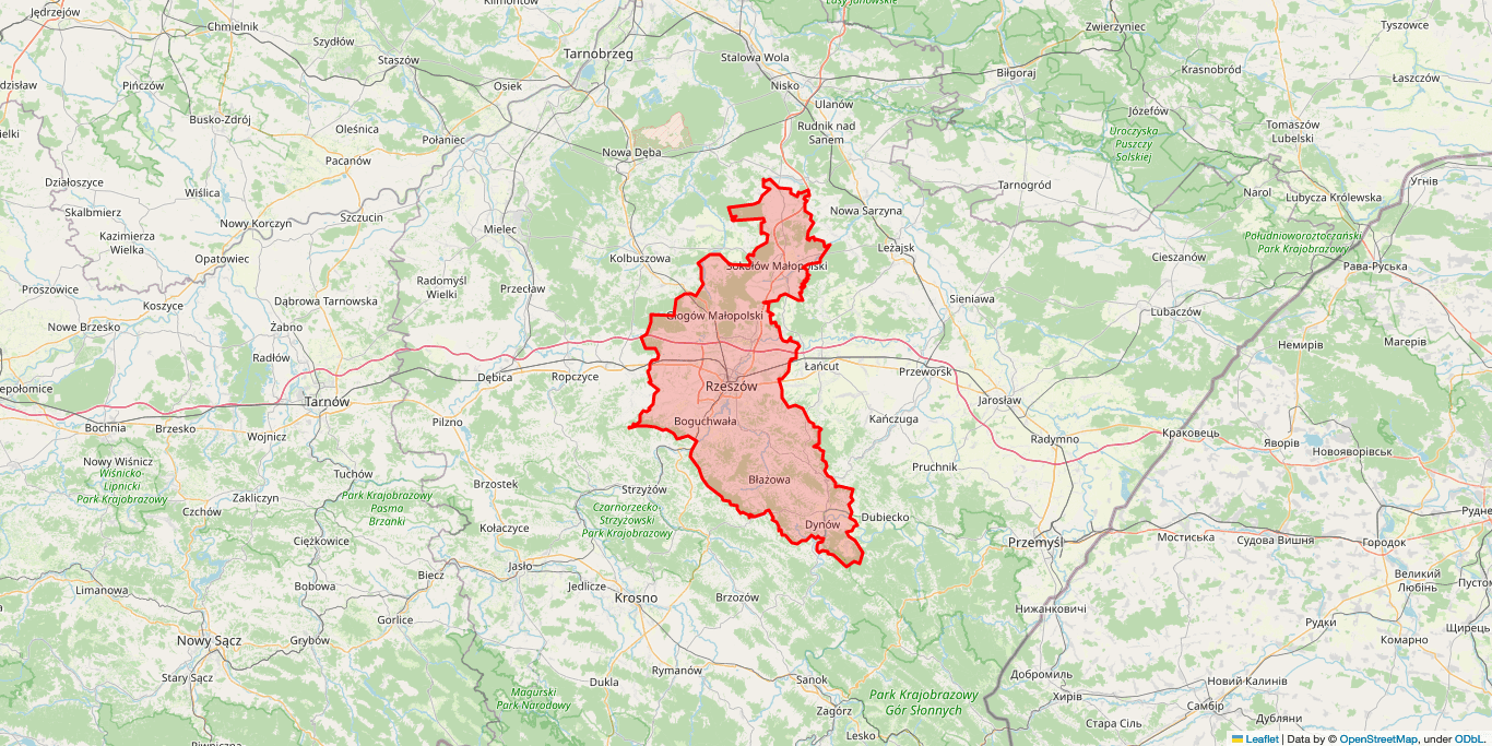 Elektryk Dynów