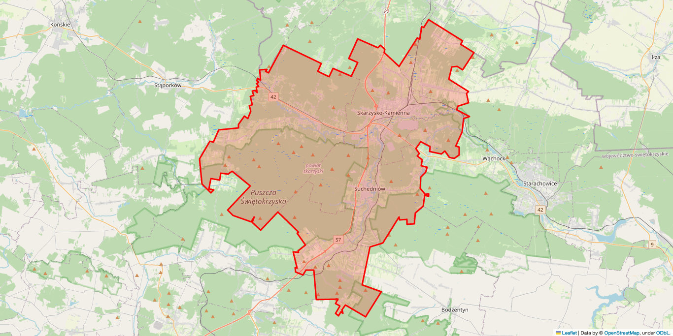 Naprawa Naprawa pralek Suchedniów