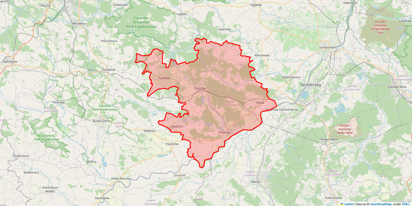 Elektryk Połaniec