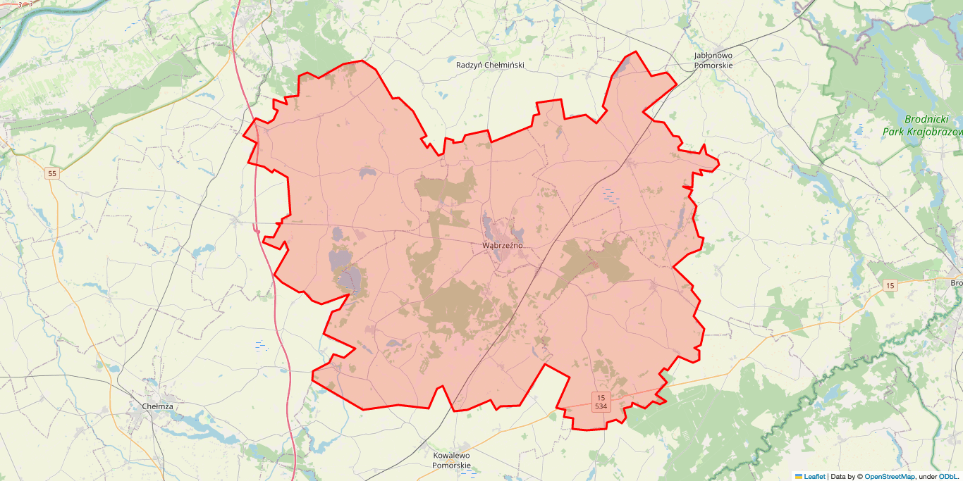 Naprawa Naprawa pralek Wąbrzeźno