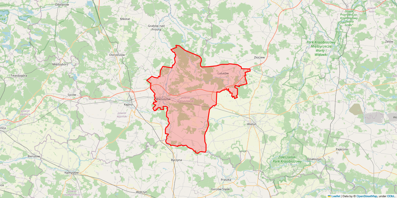 Elektryk Wieruszów
